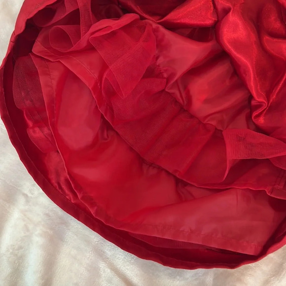 Gymboree Olivia line set.  Long sleeved shirt and skirt.  Girls size 5 - Picture 3 of 5